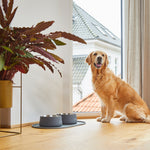 Dog Copenhagen Vega Food/Water Bowls