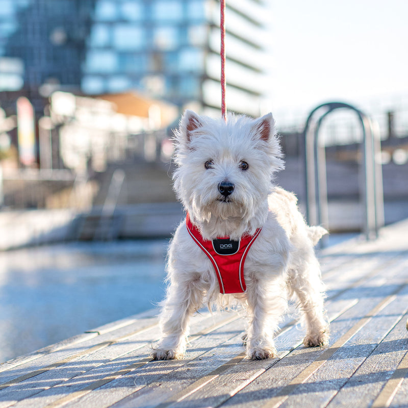 Dog Copenhagen Comfort Walk GO™
