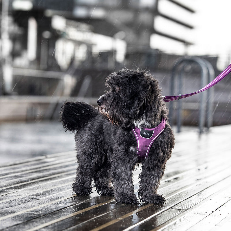 Dog Copenhagen Comfort Walk GO™