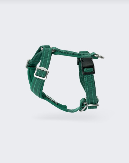 Paikka Easy Harness