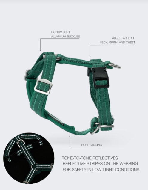 Paikka Easy Harness