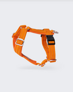 Paikka Easy Harness