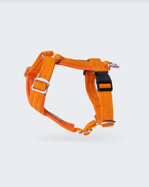 Paikka Easy Harness
