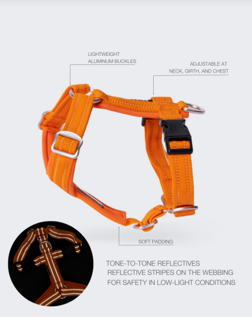 Paikka Easy Harness