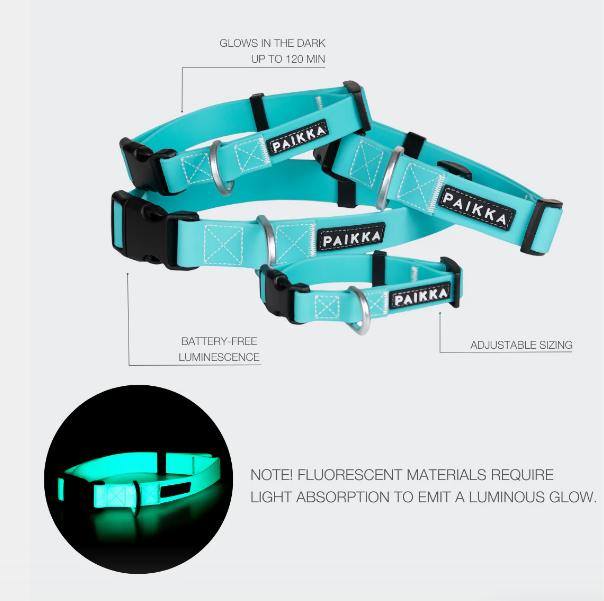 Paikka Glow Collar
