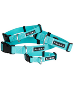 Paikka Glow Collar