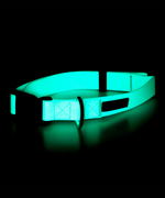 Paikka Glow Collar