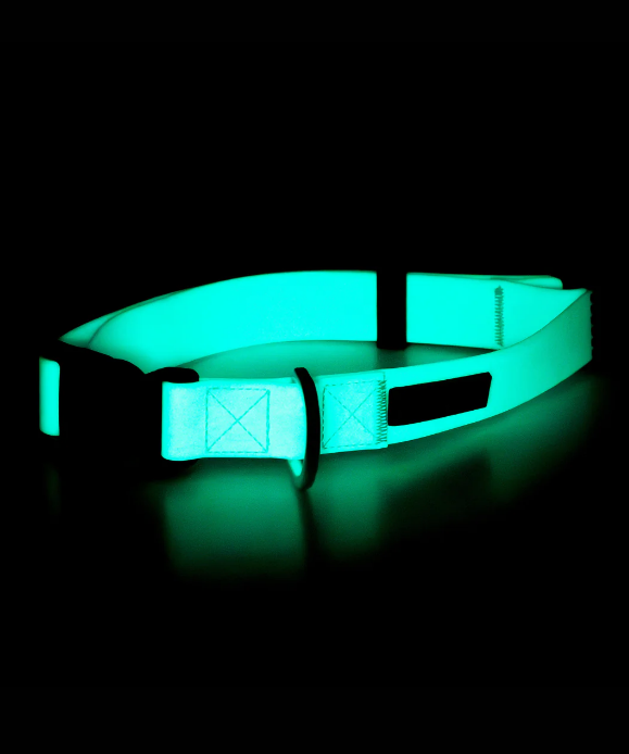 Paikka Glow Collar