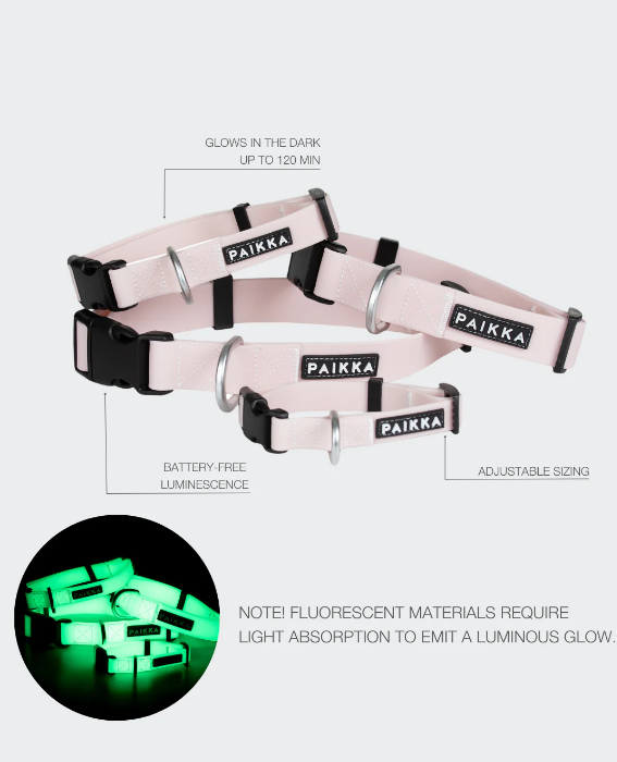 Paikka Glow Collar