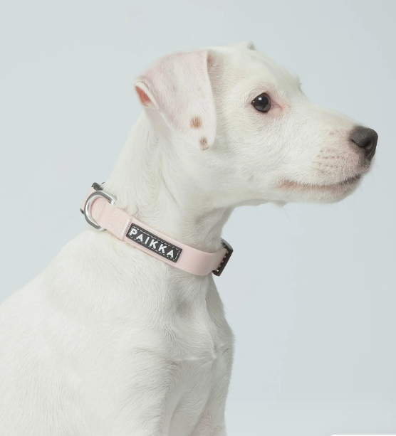 Paikka Glow Collar