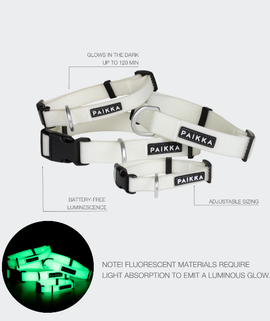 Paikka Glow Collar