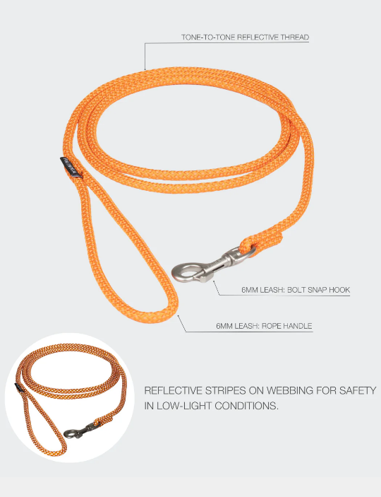 Paikka Visibility Rope Leash 1.8m
