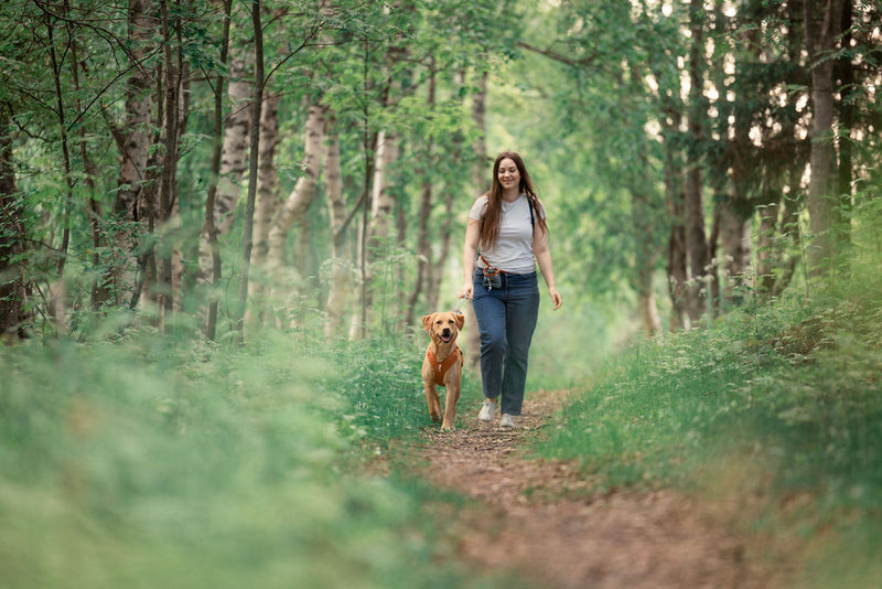 Woolly Wolf ROAM Harness (RPET)