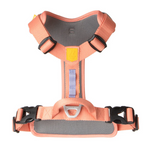 Woolly Wolf ROAM Harness (RPET)