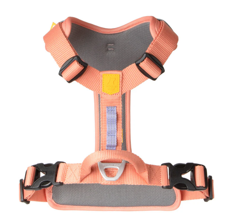Woolly Wolf ROAM Harness (RPET)