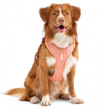 Woolly Wolf ROAM Harness (RPET)