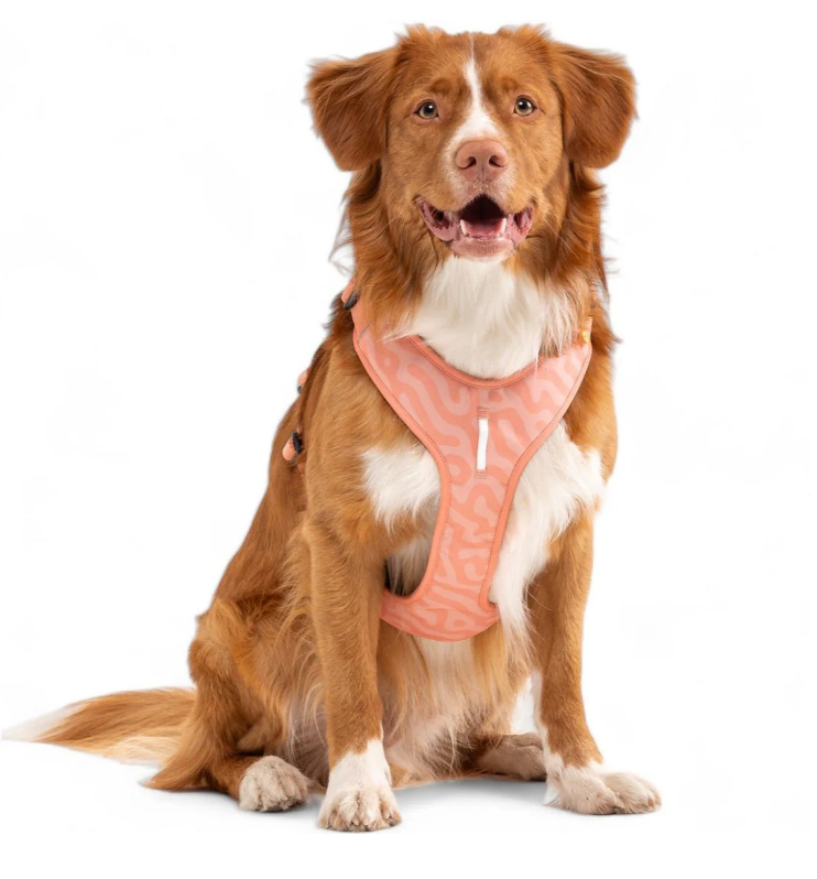 Woolly Wolf ROAM Harness (RPET)