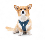 Woolly Wolf ROAM Harness (RPET)