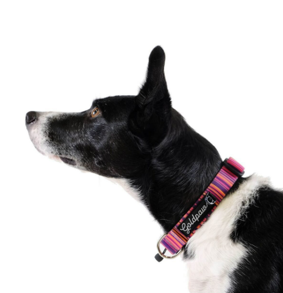 Swiftlock Collar - Stripe