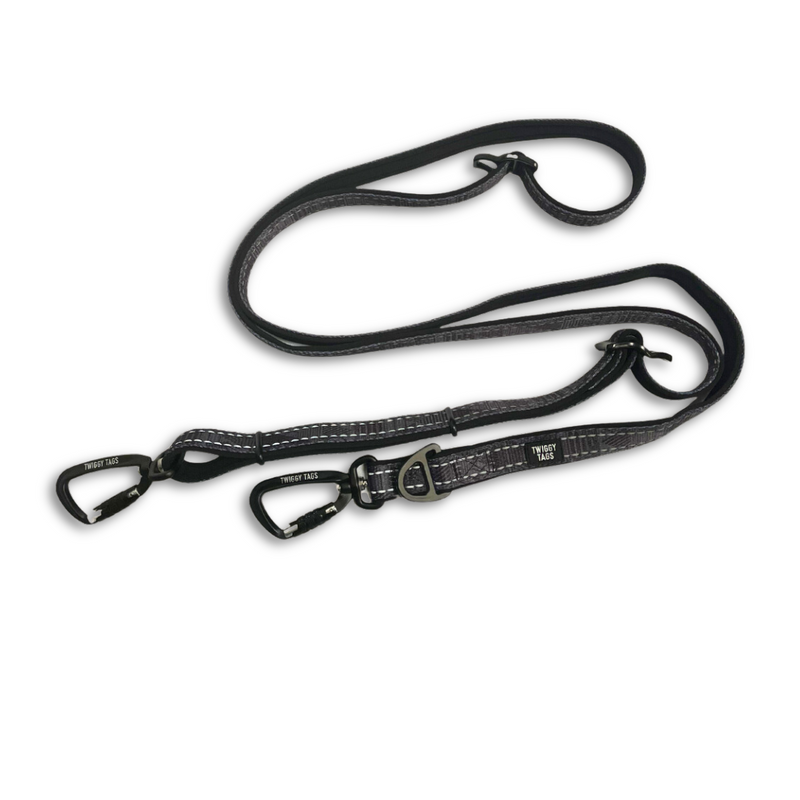 Twiggy Tags Multi-Way Lead 0.75-2.4m