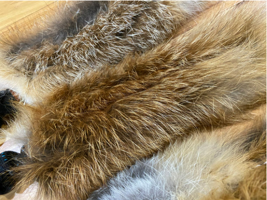 Wildhunde Wild-Tug Fox Bungee