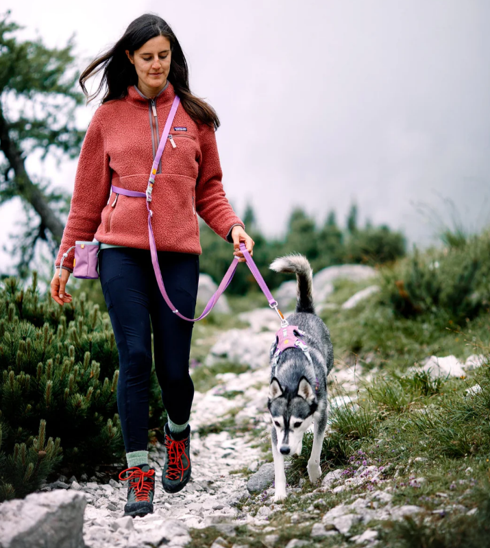 Woolly Wolf Multi-use Leash 1.7-3m (RPET) - 'Colour Block'