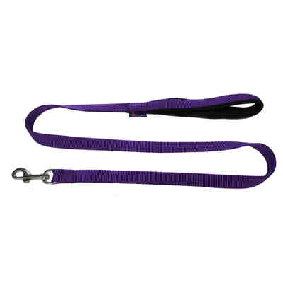 1.2m Padded Handle Leash