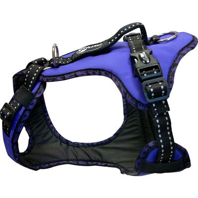 Easy Peasy harness