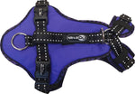 Easy Peasy harness