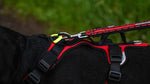 Short Comfy harness