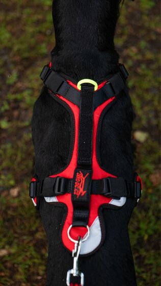 Short Comfy harness