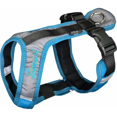 Zero DC Short SMART Harness