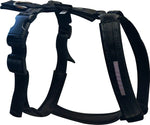 'Royal' Padded Harness