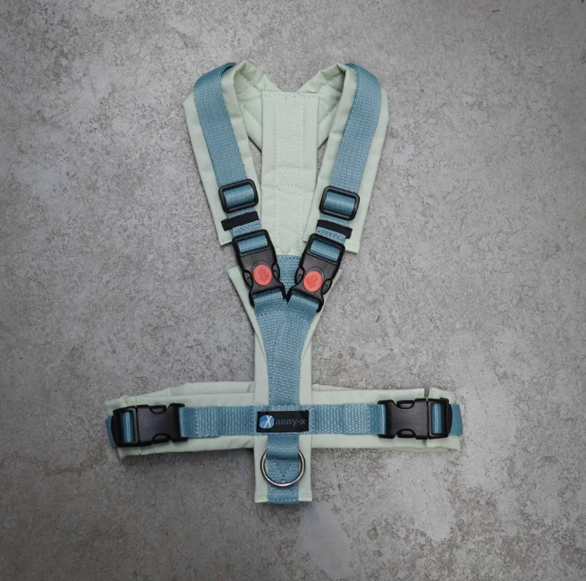 anny-x Borstharnas Fun zwart zwart - Maat XS anny-x Borstharnas Fun zwart zwart - Maat XS