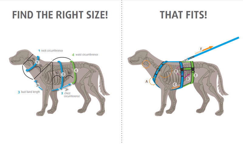 anny.x 'Fun' harness - OPEN