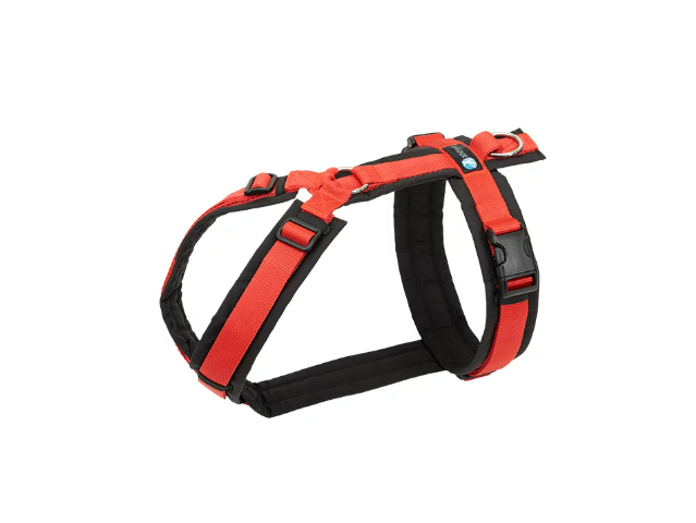 anny.x 'Fun' harness - STANDARD