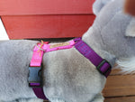Naked harness - standard, 2-colour
