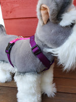 Naked harness - standard, 2-colour