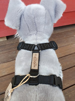 Naked harness - with front clips (buckles)