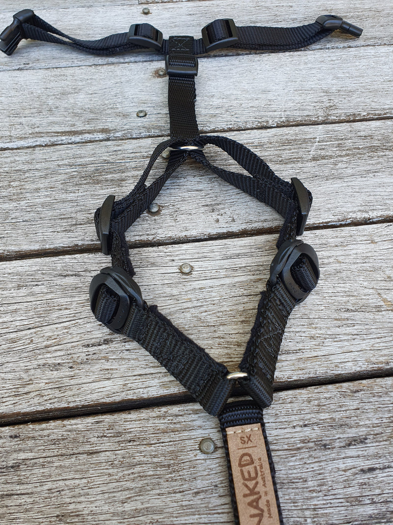 Naked harness - with front clips (buckles)