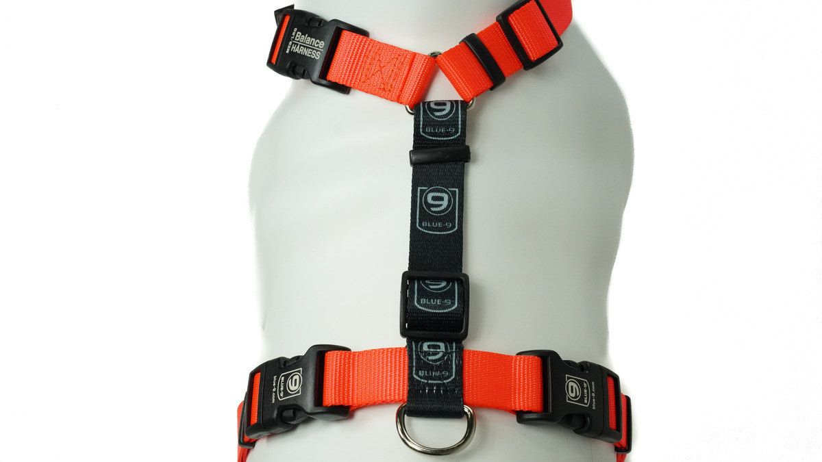 Blue 9 Balance Harness
