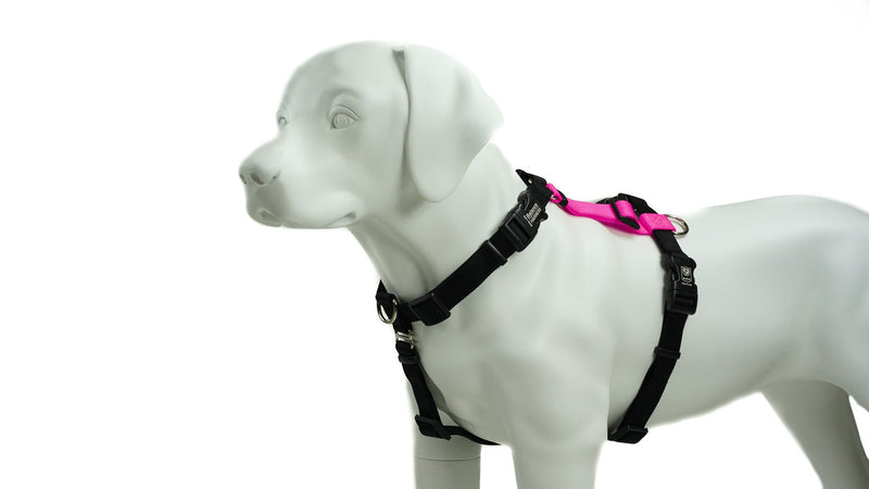 Blue-9 Balance Harness®