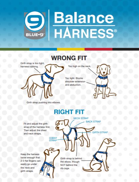 Key Features That Make the Blue-9 Harness Stand Out