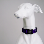 Blue-9 Lightweight Collar (discontinued)