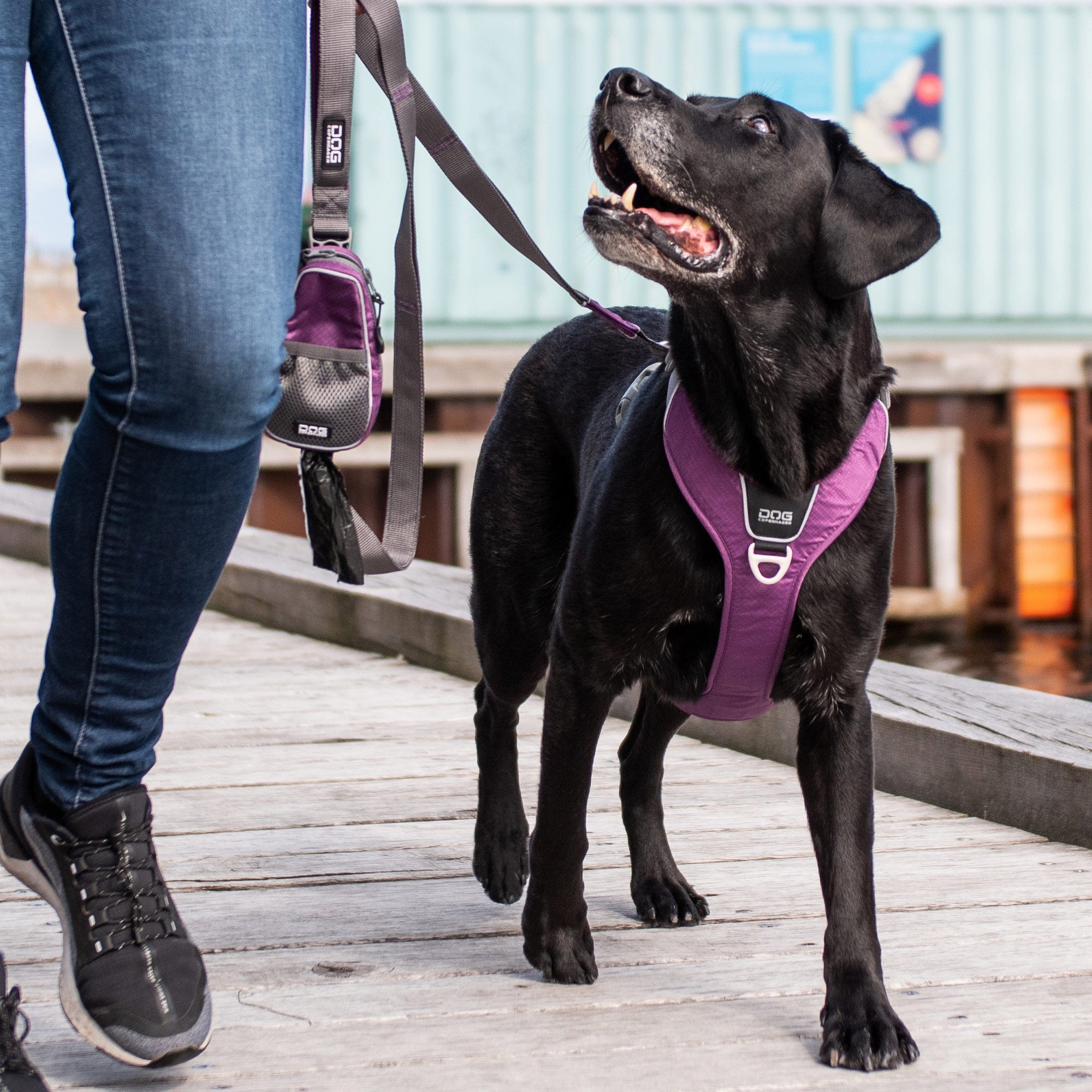 Nouveau Harnais DOG COPENHAGEN Comfort Walk Air