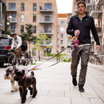 Dog Copenhagen Urban Trail Leash V2.0