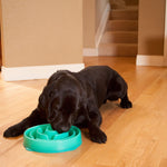 Outward Hound Fun Feeder Bowls