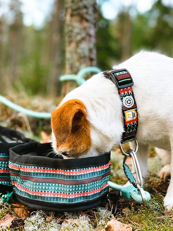 Woolly Wolf Duo Travel Bowl (RPET)