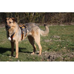 anny.x SAFETY harness