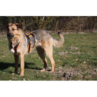 anny.x SAFETY harness